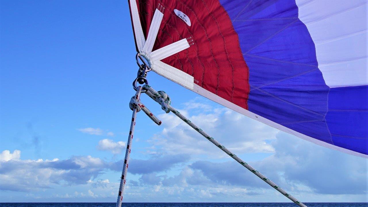 docking a catamaran single handed