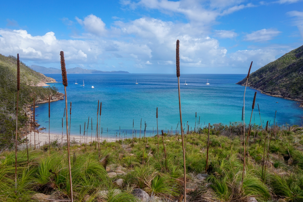 Cateran Bay