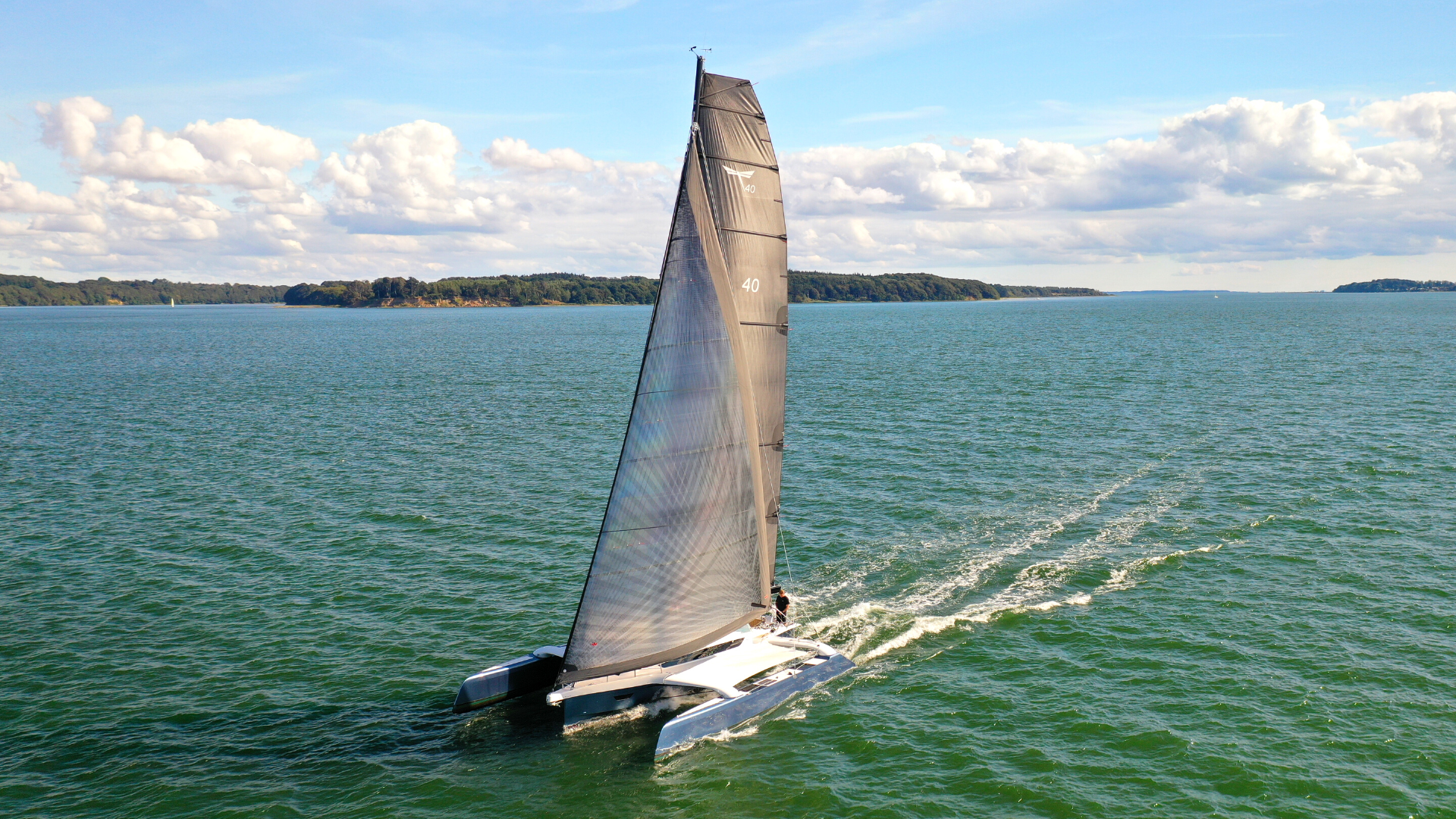 Dragonfly 40 Walkthrough