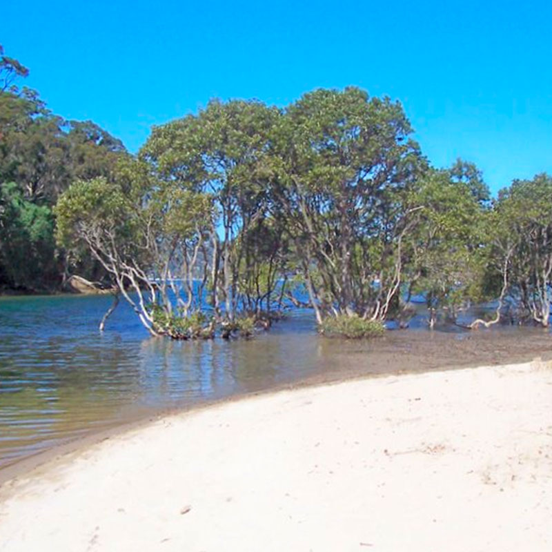 Coasters Retreat and The Basin